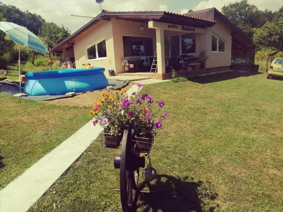 Beljevina "Porodica Markovic" Borsko Jezero מראה חיצוני תמונה